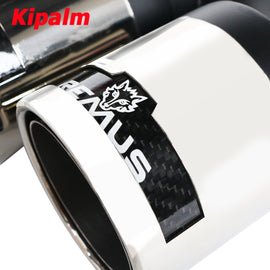 Universal Dual h Type Silver and BlackStainless Steel Exhaust Muffler Tips Remus End Pipe