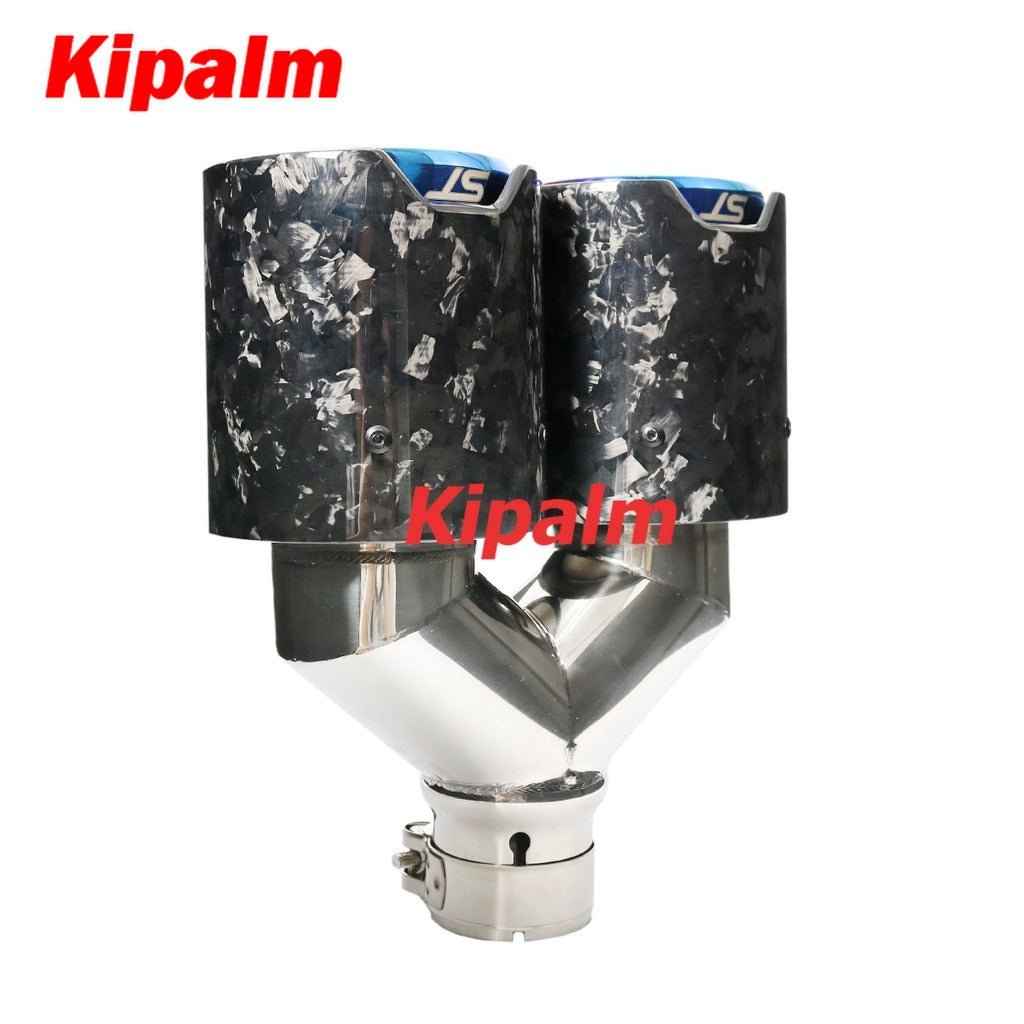 1pcs Y Style Dual-tips pipes Forged Carbon Fiber Stainless Steel Car Muffler Exhaust Tip for Ford Focus ST (BMW logo optional)
