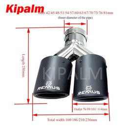 1 Pair Dual Y Shape Pipes Curly Edge Remus Sport Matte Carbon Fiber Exhaust Muffler Tips for BMW AUDI GOLF MAZDA